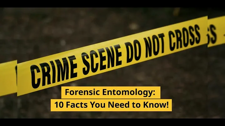 Forensic Entomology: 10 Facts You Need to Know!