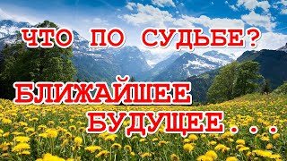 Что ждёт в ближайшем будущем? Что уйдет, что придет, что порадует? ТАРО. ГАДАНИЕ ОНЛАЙН.