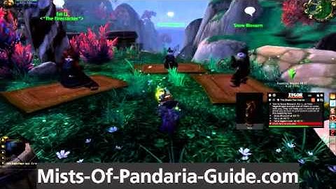 Zygor Mists Of Pandaria Titles and Reputation Warcraft Guide