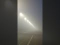 Fog on the road in the evening / Туман вечером на дороге + #fog #foggy #evening