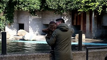 Bezoekers in ARTIS tijdens de proefopening