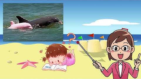 ÂM NHẠC LỚP 3 TIẾT 16 || KCAN  CÁ HEO VỚI ÂM NHẠC   GIỚI THIỆU TÊN NỐT NHẠC  SUNFLOWER ARTS CENTER