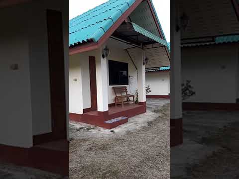 ต้นข้าว รีสอร์ท อ.พาน จ.เชียงราย บรรยากาศหน้าหนาวหลังเกี่ยวข้าว