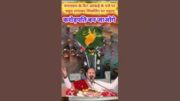 मंगलवार के दिन आंकड़े के पत्ते पर शहद लगाकर शिवलिंग पर चढ़ाए करोड़पति बन जाओगे #upay #प्रदीपमिश्राजी