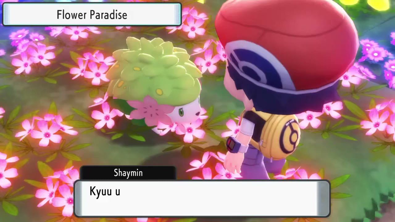 Full odds Shiny Shaymin encounter in Pokémon Brilliant Diamond after