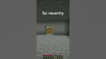 so I constructed library in minecraft...