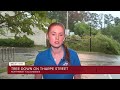 Maya sargent reports on storm damage in northwest tallahassee
