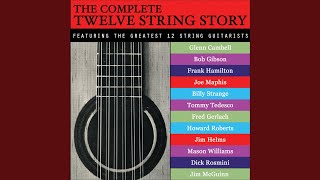 loco-twelve-string