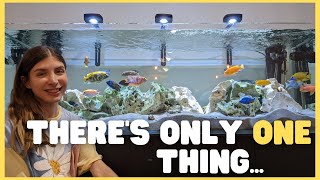 The ONE thing I don't like about African Cichlids