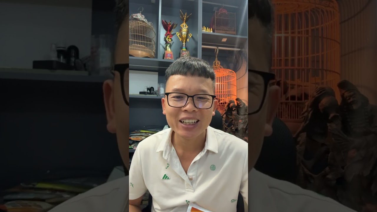 Hướng dẫn chăm chim chào mào mùa Mưa Lạnh từ Giàng A Nam