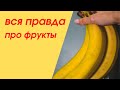 Вся правда про фрукты//Запись прямого эфира в Инстаграм