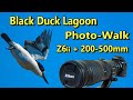 Black Lagoon Wildlife Photo-walk with Nikon Z6ii and Nikon 200-500mm lens