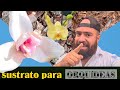 LA FORMA CORRECTA DE PREPARAR NUESTRO SUSTRATO PARA ORQUÍDEAS