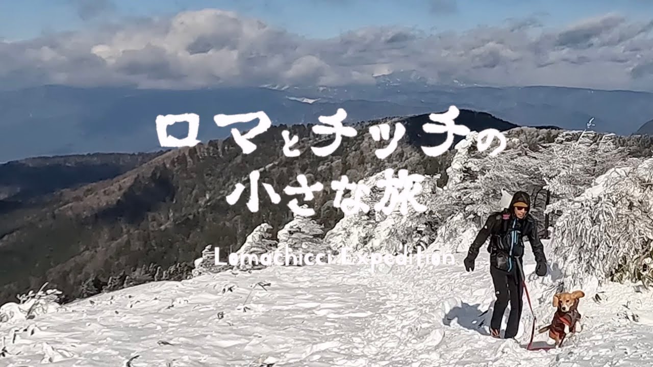 【南沢山】雪山に挑戦！阿智村南沢山を犬連れ登山登山犬ビーグルのロマと山登り