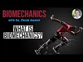 What is biomechanics