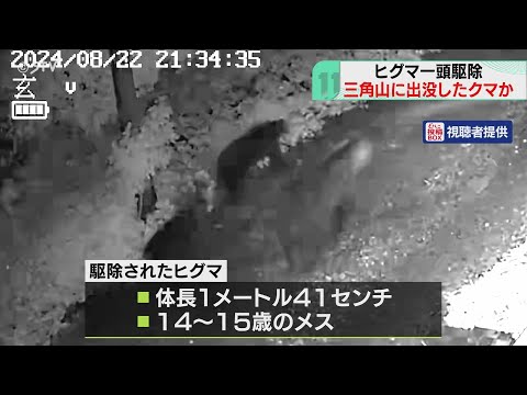 クマ猫と廃墟 クマ猫と廃墟 Taking a walk outside with the stray cat