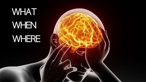 How the brain encodes time and place