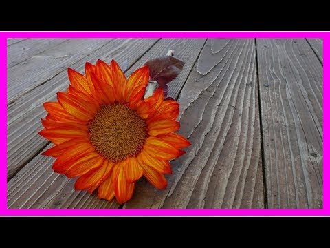 Aprende a parar a través de la meditación camera iphone 8 plus apk