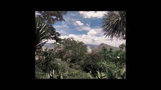 Orange 7 - First Love (Japanese Ver.) MV - You Lie on April