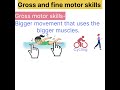 Gross and fine motor skills  #uptet2026  #ctet2026   #development