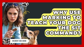 Why Use Marking To Teach Your Dog The Sit Command? - Obedient Dog Guide