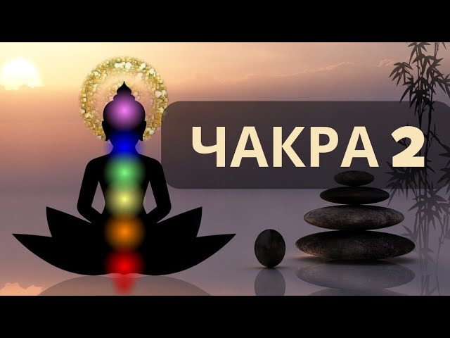 Семіз мүшесінің порносы қатыгез