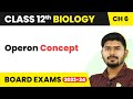 Operon Concept - Molecular Basis of Inheritance | Class 12 Biology