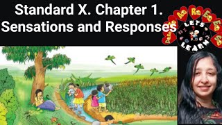 37. Sensations and Responses- Class X-Chapter 1