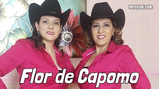 Flor de Capomo - Vero y Sol Las voces que enamoran chords