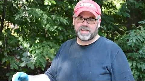 Tulip Poplar Bark Harvesting |  Natural Basketry |  Natural Basket Weaving Materials