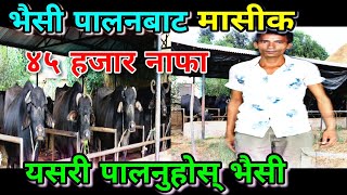 भैंसी पालनमा साचेकाे भन्दा बढी अाम्दानी | Successful buffalo farm in Nepal || PGC Mix ||Buffalo farm