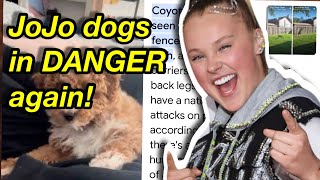 JoJo Siwa dogs in DANGER! 🚨