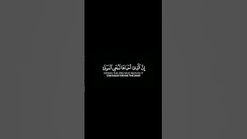 ما تيسر من سورة فصلت | القرآن الكريم | القارئ ماهر المعيقلي | كروما