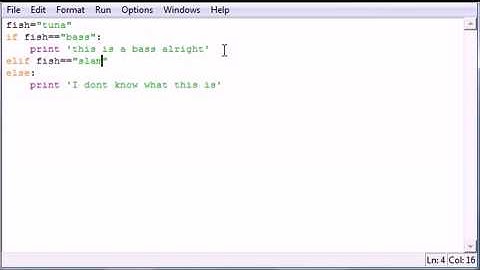 Python Programming Tutorial   21   else and elif