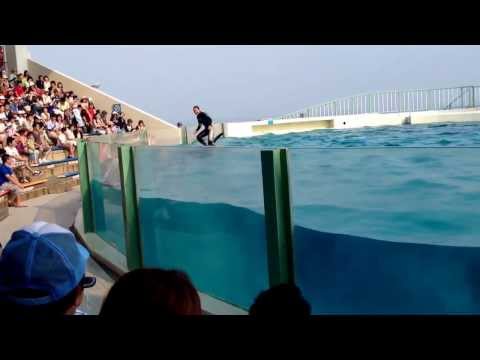 20130810かもしー２