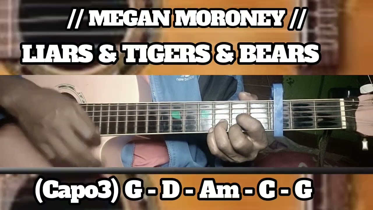 LIARS & TIGERS & BEARS // MEGAN MORONEY // SIMPLE EASY INTRO TUTORIAL GUITAR CHORDS