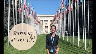 Interning at the UN  How to apply, What is it like, What do you do?