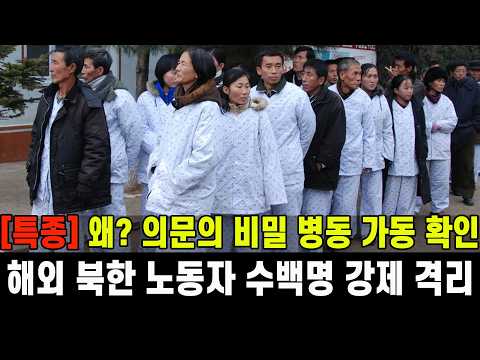 [특종] 의문의 비밀 병동 가동 확인...해외 북한 노동자 수백명 강제 격리