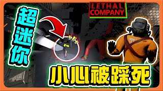 【致命公司】如果撿東西會詛咒？超迷你詛咒！「小心被踩死」還敢看戲阿？到底要倒幾次！| Lethal Company【巧克力】