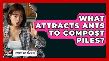 What Attracts Ants To Compost Piles? - Insects and Invaders