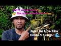 😨 Menelusuri Parit Misterius… Jalan Ini Tiba-Tiba Buntu di Sungai! 🌊 | Virtual Walking