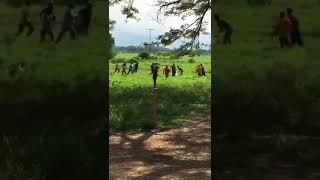 📢📢OCURRIÓ EN MÉRIDA VENEZUELA | Grupo de personas mata animales por hambrE