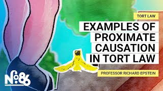 Examples of Proximate Causation in Tort Law [No. 86]