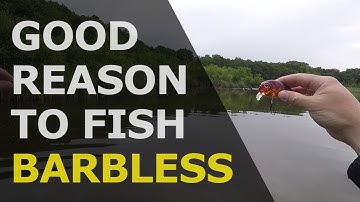A good reason to use barbless trebles and hooks!