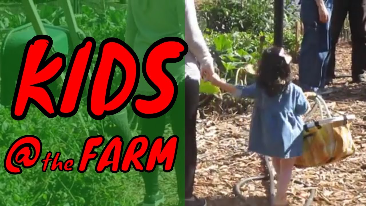 Take Your Kids To a Farm, Enjoy And Learn Together