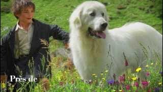 ZAZ - Belle (extrait de la BO du film 