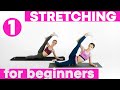 STRETCHING EXERCISES for BEGINNERS (1st video from 3)