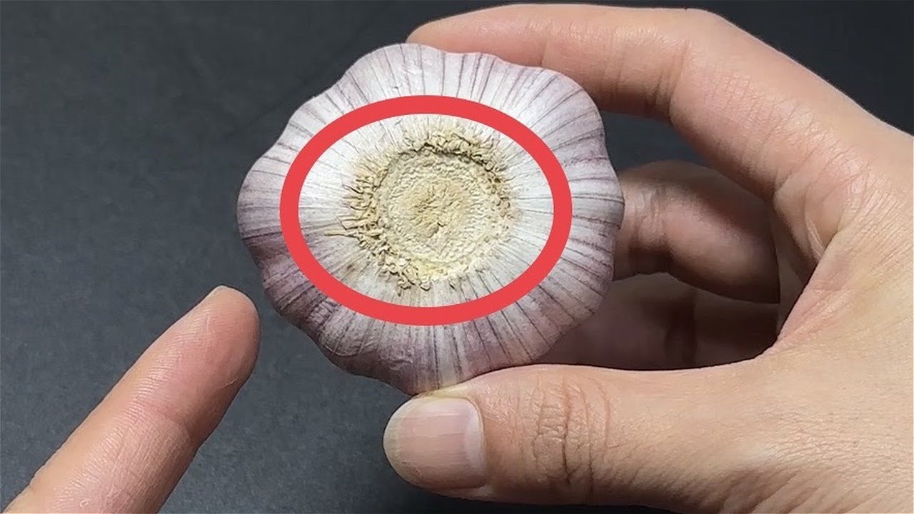 大蒜去皮有妙招！輕輕一碰，蒜皮秒脫落｜百變小廚坊 #大蒜去皮，#快速去皮技巧，#廚房小妙招，#家常料理技巧，#輕鬆剝蒜皮 - YouTube