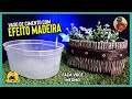 DIY - EFEITO MADEIRA em VASO DE CIMENTO #drylevis #transfix