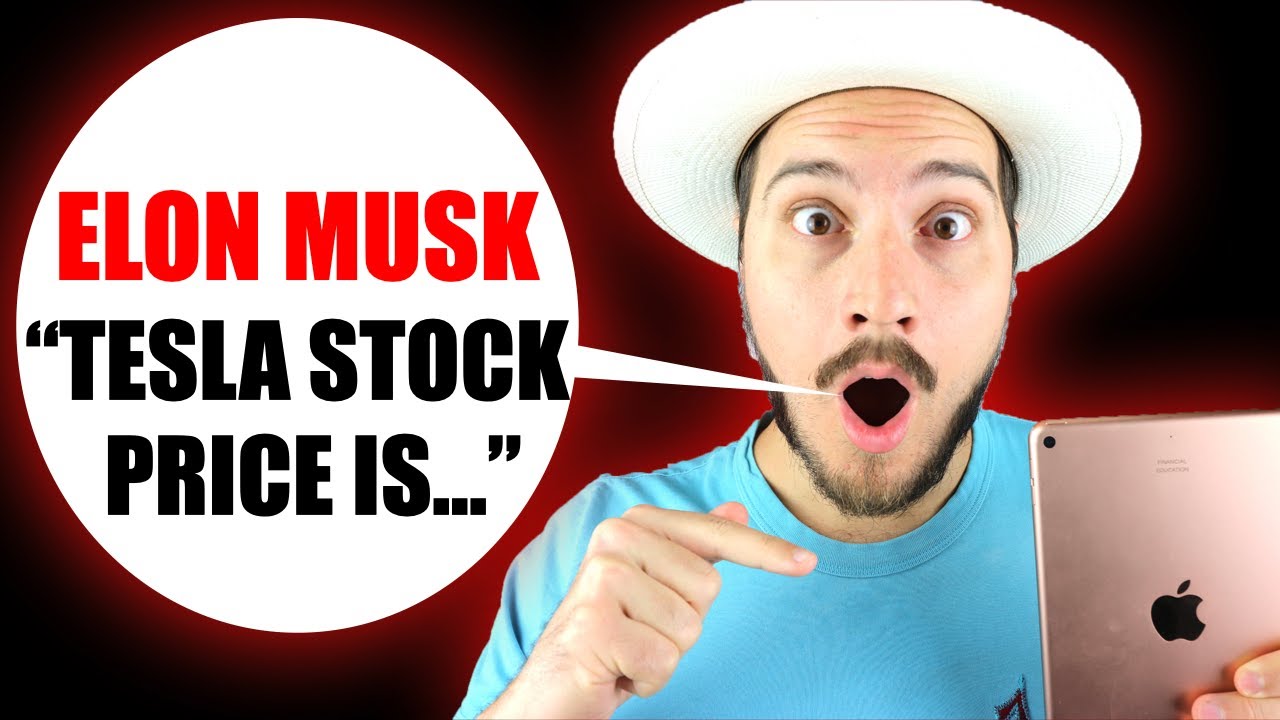 You Won t Believe What Elon Musk Said About Tesla Stock Price Today You won t believe what elon musk said about tesla stock price today